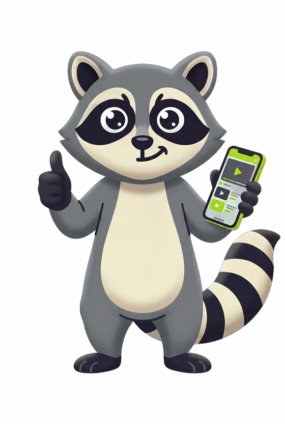 Bandi, el mapache